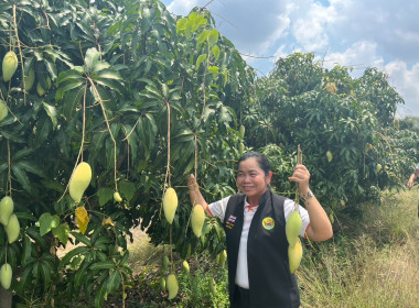 เข้ามอบเงินอุดหนุนโครงการขับเคลื่อนการประยุกต์ใช้หลักปรัชญาของเศรษฐกิจพอเพียงในสหกรณ์และกลุ่มเกษตรกร ประจำปีงบประมาณ 2568 ... พารามิเตอร์รูปภาพ 7