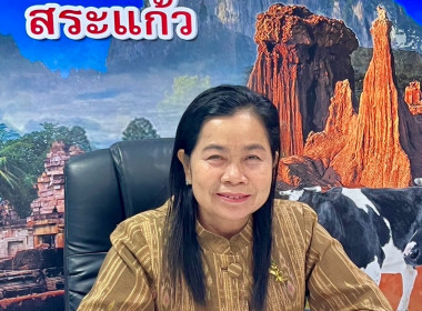 ประชุมชี้แจงรายละเอียด ... พารามิเตอร์รูปภาพ 1