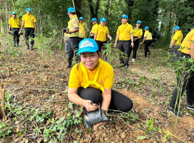โครงการนำร่องการปลูกไผ่หนามเป็นรั้วธรรมชาติเสริมแนวคูกันช้างและประชุมติดตามสถานการณ์ช้างป่า ... พารามิเตอร์รูปภาพ 7