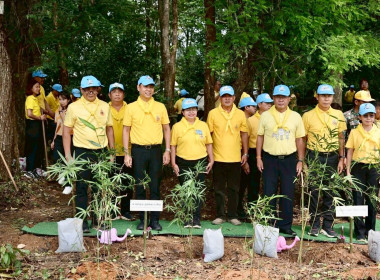 โครงการนำร่องการปลูกไผ่หนามเป็นรั้วธรรมชาติเสริมแนวคูกันช้างและประชุมติดตามสถานการณ์ช้างป่า ... พารามิเตอร์รูปภาพ 6