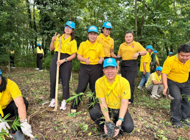 โครงการนำร่องการปลูกไผ่หนามเป็นรั้วธรรมชาติเสริมแนวคูกันช้างและประชุมติดตามสถานการณ์ช้างป่า ... พารามิเตอร์รูปภาพ 5