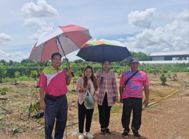 ลงพื้นที่เยี่ยมชมเรือนปลูกผักสวนครัวปลอดสารพิษ ... พารามิเตอร์รูปภาพ 2