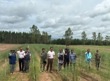 ผู้ตรวจราชการกรม เขตตรวจราชการที่ 8 และ 9 พร้อมด้วย ... พารามิเตอร์รูปภาพ 4