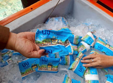 ลงพื้นที่เข้าตรวจติดตามผลการดำเนินการโครงการอาหารเสริม (นม) ... พารามิเตอร์รูปภาพ 10