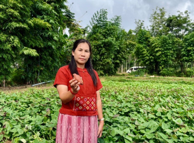 สหกรณ์จังหวัดสระแก้ว ... พารามิเตอร์รูปภาพ 1