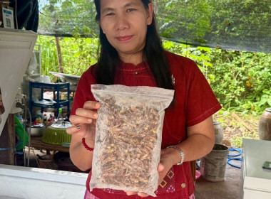 สหกรณ์จังหวัดสระแก้ว ... พารามิเตอร์รูปภาพ 2