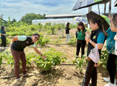 สหกรณ์จังหวัดสระแก้ว ลงพื้นที่ ตรวจเยี่ยม ... พารามิเตอร์รูปภาพ 7