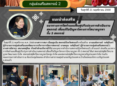 เข้าแนะนำ ส่งเสริม ... พารามิเตอร์รูปภาพ 8