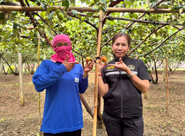 เข้าตรวจเยี่ยมสมาชิกสหกรณ์การเกษตรทับทิมสยาม 05 จำกัด พารามิเตอร์รูปภาพ 1