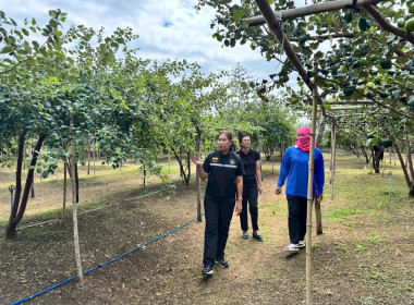 เข้าตรวจเยี่ยมสมาชิกสหกรณ์การเกษตรทับทิมสยาม 05 จำกัด พารามิเตอร์รูปภาพ 3