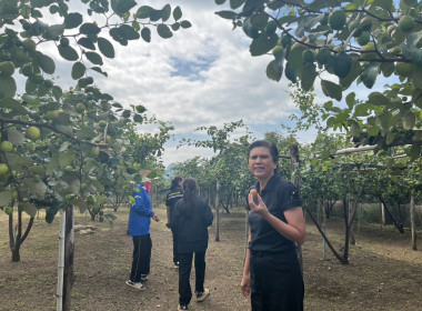 เข้าตรวจเยี่ยมสมาชิกสหกรณ์การเกษตรทับทิมสยาม 05 จำกัด พารามิเตอร์รูปภาพ 4