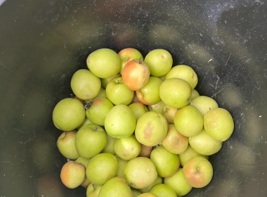 เข้าตรวจเยี่ยมสมาชิกสหกรณ์การเกษตรทับทิมสยาม 05 จำกัด พารามิเตอร์รูปภาพ 6