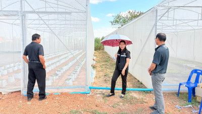 งพื้นที่เยี่ยมชมเรือนปลูกผักสวนครัวปลอดสารพิษและสวนเกษตรผสมผสานของสหกรณ์การเกษตรอรัญประเทศ จำกัด ... พารามิเตอร์รูปภาพ 1