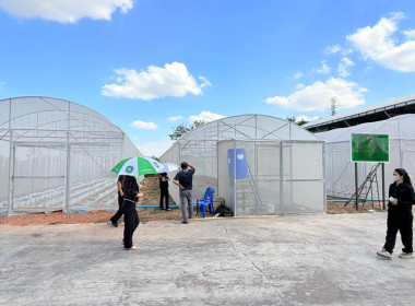 งพื้นที่เยี่ยมชมเรือนปลูกผักสวนครัวปลอดสารพิษและสวนเกษตรผสมผสานของสหกรณ์การเกษตรอรัญประเทศ จำกัด ... พารามิเตอร์รูปภาพ 4