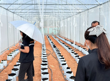 งพื้นที่เยี่ยมชมเรือนปลูกผักสวนครัวปลอดสารพิษและสวนเกษตรผสมผสานของสหกรณ์การเกษตรอรัญประเทศ จำกัด ... พารามิเตอร์รูปภาพ 5