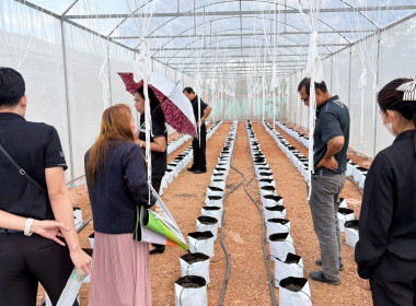 งพื้นที่เยี่ยมชมเรือนปลูกผักสวนครัวปลอดสารพิษและสวนเกษตรผสมผสานของสหกรณ์การเกษตรอรัญประเทศ จำกัด ... พารามิเตอร์รูปภาพ 1