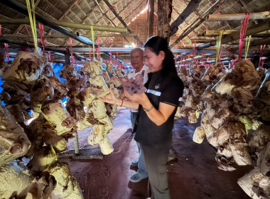 ลงพื้นที่เพื่อรวบรวมข้อมูลประกอบการพิจารณาวางแผนและแก้ไขปัญหาสหกรณ์ปศุสัตว์โคบาลบูรพา จำกัด ... พารามิเตอร์รูปภาพ 4