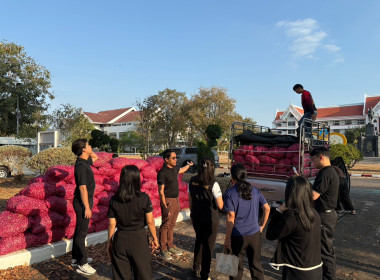 กระจายผลผลิตทางการเกษตร “หอมแดงศรีสะเกษ” พารามิเตอร์รูปภาพ 3