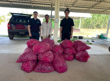 กระจายผลผลิตทางการเกษตร “หอมแดงศรีสะเกษ” พารามิเตอร์รูปภาพ 4