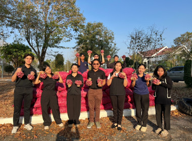 กระจายผลผลิตทางการเกษตร “หอมแดงศรีสะเกษ” พารามิเตอร์รูปภาพ 1