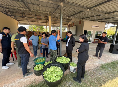 โครงการประชุมขับเคลื่อนการเชื่อมโยงผลิตภัณฑ์ชุมชนระดับพื้นที่ จังหวัดสระแก้ว ประจำปีงบประมาณ พ.ศ. 2569 ... พารามิเตอร์รูปภาพ 2