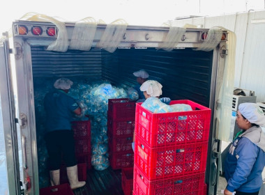 เข้าร่วมการตรวจสอบโรงงานหรือสถานประกอบการผลิตภัณฑ์นมที่เข้าร่วมโครงการอาหารเสริม (นม) โรงเรียน ... พารามิเตอร์รูปภาพ 8
