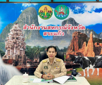 การประชุมชี้แจงกรอบแนวทางการขับเคลื่อนนโยบายและเกณฑ์การประกวด CPD DRIVE และ CPD SANDBOX ประจำปีงบประมาณ พ.ศ. 2569 ... พารามิเตอร์รูปภาพ 1