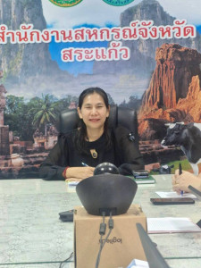 การประชุมคณะทำงานขับเคลื่อนนโยบายและการประกวด CPD DRIVE และ ... พารามิเตอร์รูปภาพ 1