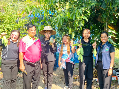 เข้าตรวจเยี่ยม แนะนำส่งเสริมการดำเนินงาน ... พารามิเตอร์รูปภาพ 1