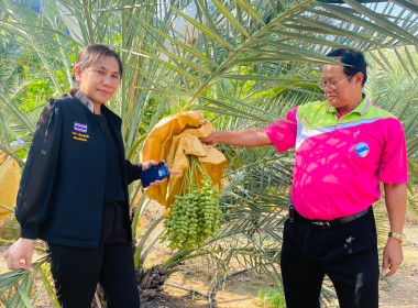 เข้าตรวจเยี่ยม แนะนำส่งเสริมการดำเนินงาน ... พารามิเตอร์รูปภาพ 3