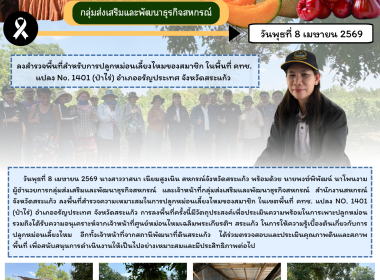 ลงสำรวจพื้นที่สำหรับการปลูกหม่อนเลี้ยงไหมของสมาชิก ... พารามิเตอร์รูปภาพ 6