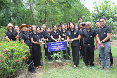 การจัดกิจกรรมวันต้นไม้ประจำของชาติ พ.ศ. 2569 พารามิเตอร์รูปภาพ 1