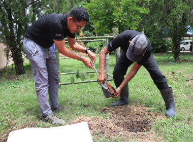 การจัดกิจกรรมวันต้นไม้ประจำของชาติ พ.ศ. 2569 พารามิเตอร์รูปภาพ 4