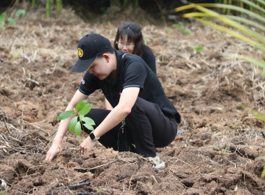 การจัดกิจกรรมวันต้นไม้ประจำของชาติ พ.ศ. 2569 พารามิเตอร์รูปภาพ 16