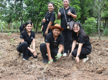 การจัดกิจกรรมวันต้นไม้ประจำของชาติ พ.ศ. 2569 พารามิเตอร์รูปภาพ 9