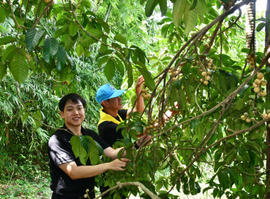 ลงพื้นที่ติดตามผลการดำเนินงาน ... พารามิเตอร์รูปภาพ 7