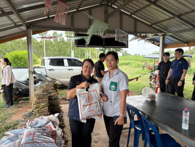 ลงพื้นที่แนะนำ ส่งเสริมอาชีพการปลูกหม่อนเลี้ยงไหมในพื้นที่ ... พารามิเตอร์รูปภาพ 1