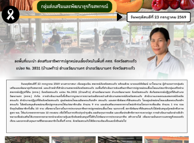 ลงพื้นที่แนะนำ ส่งเสริมอาชีพการปลูกหม่อนเลี้ยงไหมในพื้นที่ ... พารามิเตอร์รูปภาพ 8