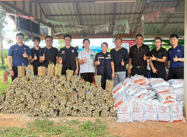 ลงพื้นที่แนะนำ ส่งเสริมอาชีพการปลูกหม่อนเลี้ยงไหมในพื้นที่ ... พารามิเตอร์รูปภาพ 2