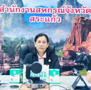 การประชุมชี้แจงการใช้งานระบบรายงานแผน ... พารามิเตอร์รูปภาพ 1