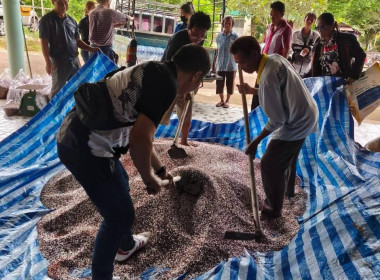เข้าร่วมโครงการลดต้นทุนการผลิตจากการใช้ปุ๋ยผสมใช้เองกลุ่มเกษตรกรทำนาท่าแยก จังหวัดสระแก้ว ... พารามิเตอร์รูปภาพ 1