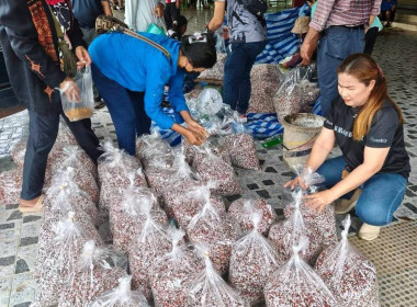 เข้าร่วมโครงการลดต้นทุนการผลิตจากการใช้ปุ๋ยผสมใช้เองกลุ่มเกษตรกรทำนาท่าแยก จังหวัดสระแก้ว ... พารามิเตอร์รูปภาพ 3