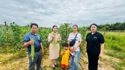 ติดตามและตรวจเยี่ยมการนำแนวทางของปรัชญาของเศรษฐกิจพอเพียงไปประยุกต์ใช้ในสมาชิกกลุ่มเกษตรกรทำนาท่าแยก จังหวัดสระแก้ว ... พารามิเตอร์รูปภาพ 1