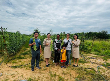 ติดตามและตรวจเยี่ยมการนำแนวทางของปรัชญาของเศรษฐกิจพอเพียงไปประยุกต์ใช้ในสมาชิกกลุ่มเกษตรกรทำนาท่าแยก จังหวัดสระแก้ว ... พารามิเตอร์รูปภาพ 5