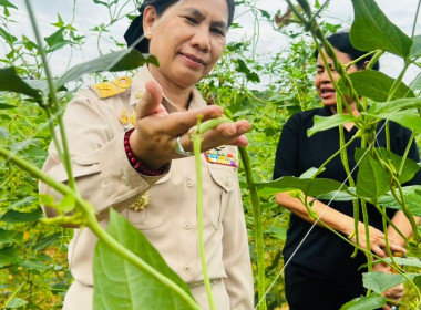 ติดตามและตรวจเยี่ยมการนำแนวทางของปรัชญาของเศรษฐกิจพอเพียงไปประยุกต์ใช้ในสมาชิกกลุ่มเกษตรกรทำนาท่าแยก จังหวัดสระแก้ว ... พารามิเตอร์รูปภาพ 1