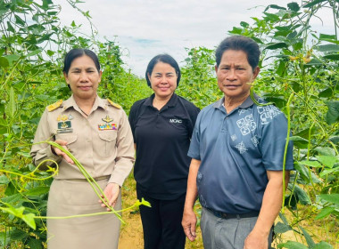 ติดตามและตรวจเยี่ยมการนำแนวทางของปรัชญาของเศรษฐกิจพอเพียงไปประยุกต์ใช้ในสมาชิกกลุ่มเกษตรกรทำนาท่าแยก จังหวัดสระแก้ว ... พารามิเตอร์รูปภาพ 2