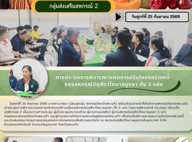 การประชุมการพิจารณาแผนการปรับโครงสร้างหนี้ ... พารามิเตอร์รูปภาพ 6