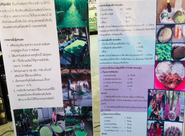 โครงการระบบส่งเสริมเกษตรแบบแปลงใหญ่ หลักสูตร ... พารามิเตอร์รูปภาพ 5