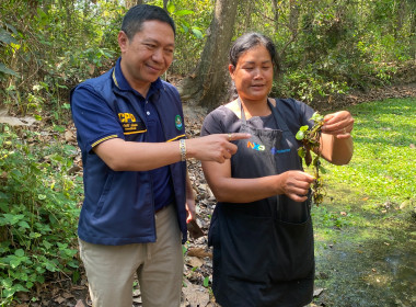 ตรวจเยี่ยมนิคมสหกรณ์สระแก้ว ติดตามผลการดำเนินงานแผนงาน พารามิเตอร์รูปภาพ 3