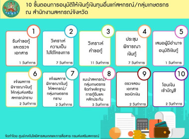 อินโฟกราฟฟิกการบริการประชาชน พารามิเตอร์รูปภาพ 29